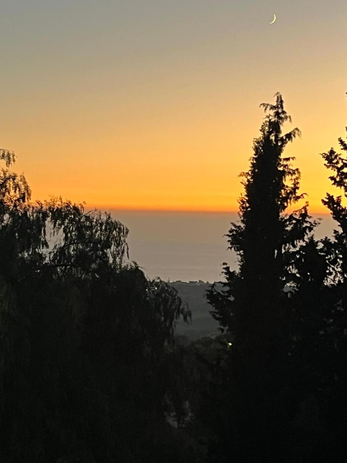 Falaride Suite Agrigento Discesa Sulla Valle Di Oro エクステリア 写真